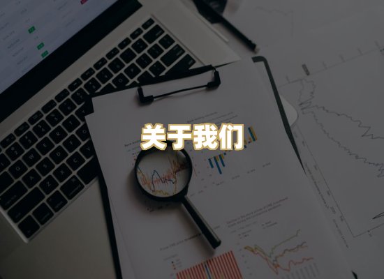 关于我们