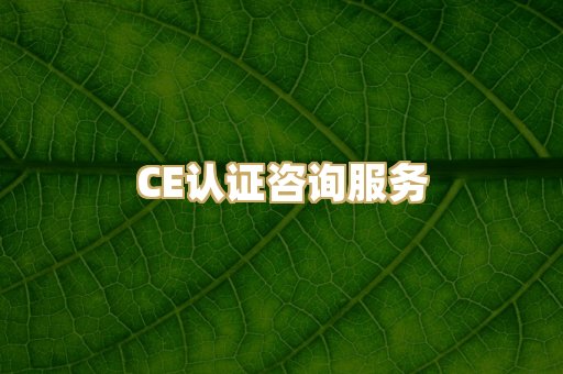 CE认证咨询服务